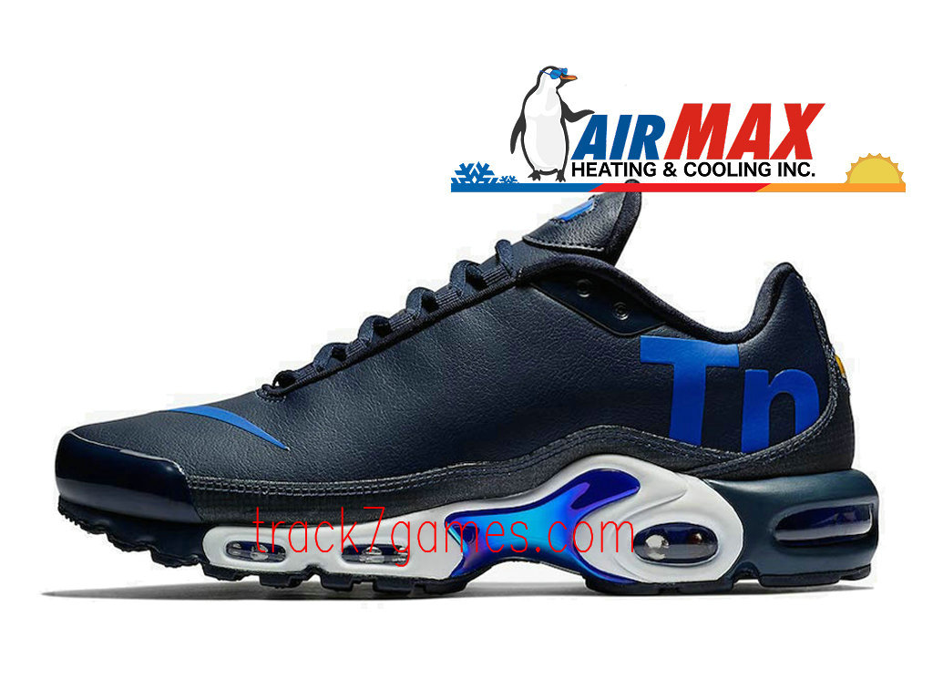 homme air max plus tn noir et bleu,Homme Nike Air Max Plus TN Noir ...